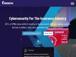 Cyberfin