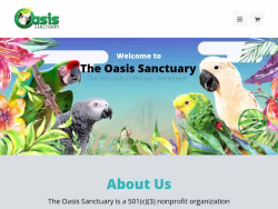 The-oasis
