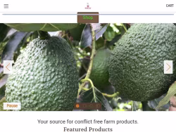 Avocadodude