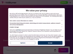 Vidburner
