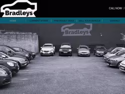 Bradleyscars