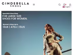 Cinderellashoes