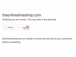 Theonlineshoeshop