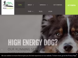 Denverdogjoggers
