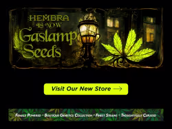 Hembragenetics