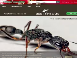 Bestantsuk