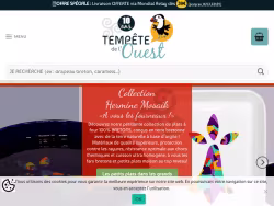 Tempetedelouest