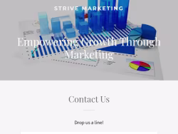 Getstrivemarketing