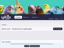 Iyikus