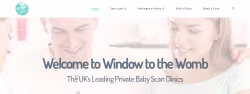 Windowtothewomb