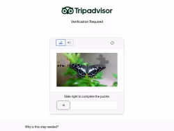 Tripadvisor