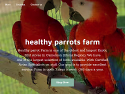 Healthyparrotsfarm