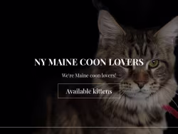 Wearemainecoonlovers