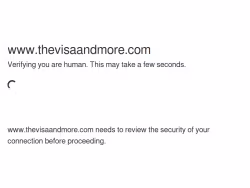 Thevisaandmore