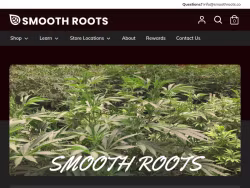 Smoothroots