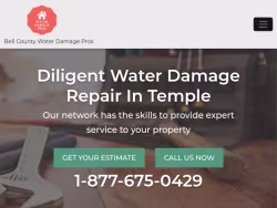 Waterdamage-temple