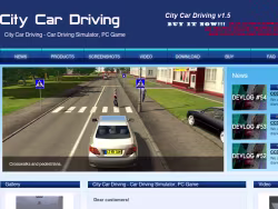 Citycardriving