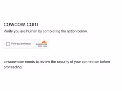 Cowcow