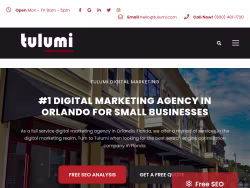 Tulumi