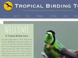 Tropicalbirding
