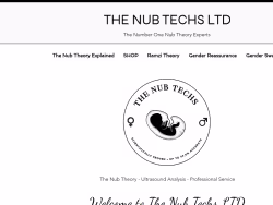 Thenubtechs