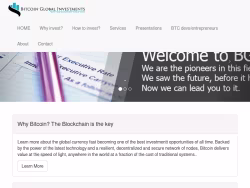 Bitcoinglobalinvestments