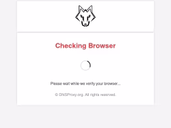 Dnsproxy