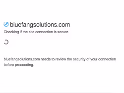 Bluefangsolutions