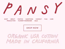 Pansy