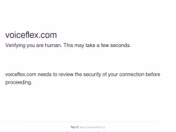 Voiceflex