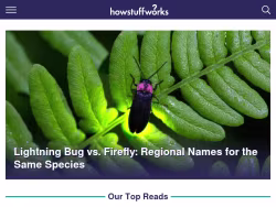 Howstuffworks