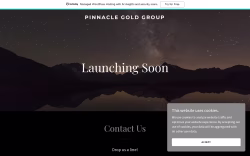 Pinnaclegoldgroup