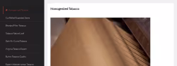 Magunews