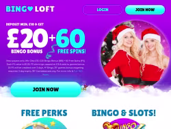 Bingoloft