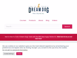 Howtotrainadreamdog