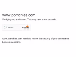 Pomchies