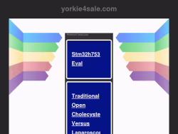 Yorkie4sale