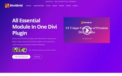 Divigrid