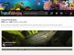 Tropicalfishkeeping