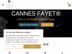 Boutique-cannes-fayet