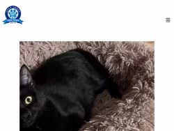 Gulfcoasttinypawsrescue