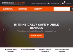 Intrinsicallysafestore logo