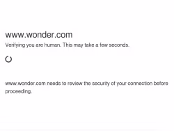 Wonder