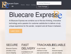 Bluecare logo