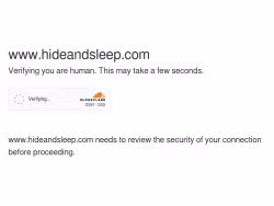 Hideandsleep