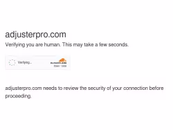 Adjusterpro
