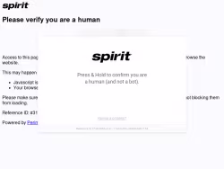 Spirit