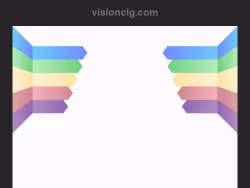 Visioncig