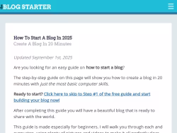 Theblogstarter