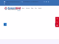 Greenbirdairambulance